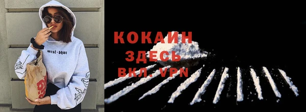 тгк Алзамай